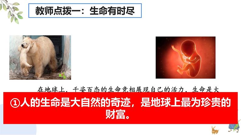 初中 道德与法治人教版2024七年级上册 第三单元 珍爱我们的生命 第八课 生命可贵认识生命 课件第5页