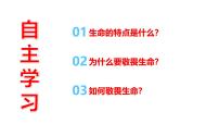 政治 (道德与法治)七年级上册（2024）认识生命完整版课件ppt