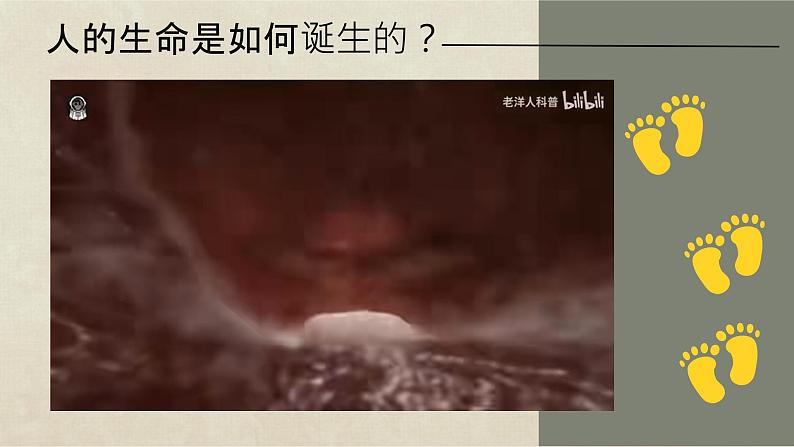 初中 道德与法治人教版2024七年级上册 第三单元 珍爱我们的生命 第八课 生命可贵认识生命 课件第6页