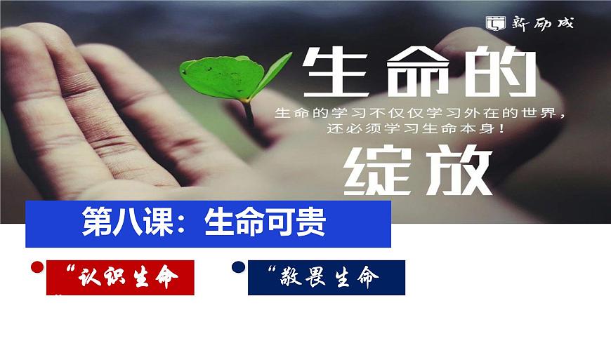 （人教版2024）七年級(jí)道德與法治上冊(cè)同步第八課 生命可貴（課件）第1頁