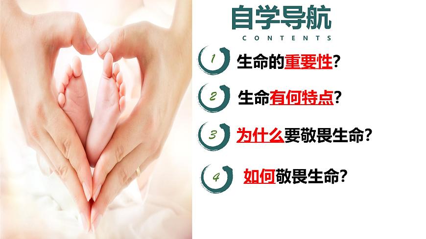 （人教版2024）七年級(jí)道德與法治上冊(cè)同步第八課 生命可貴（課件）第2頁
