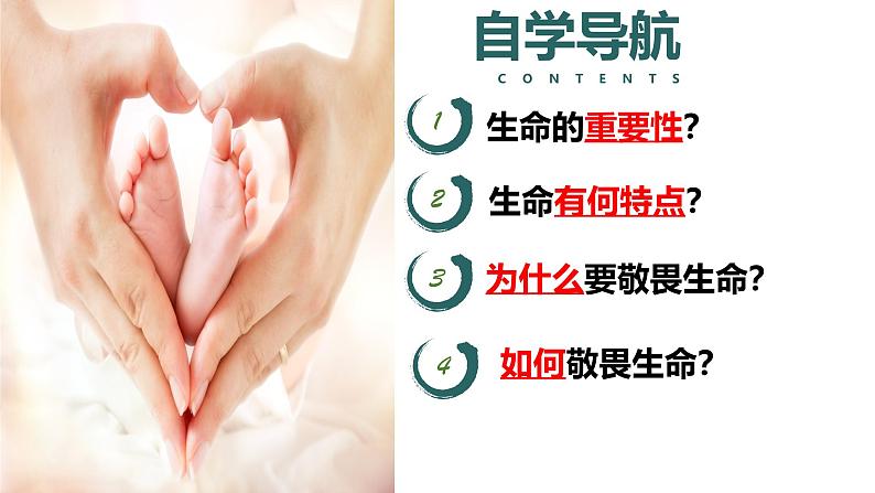 (人教版2024)七年级道德与法治上册同步第八课 生命可贵(课件)第2页
