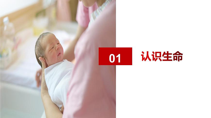 （人教版2024）七年級(jí)道德與法治上冊(cè)同步第八課 生命可貴（課件）第3頁