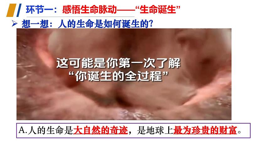 （人教版2024）七年級(jí)道德與法治上冊(cè)同步第八課 生命可貴（課件）第4頁