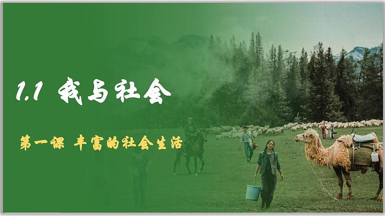 1.1我与社会(课件)-2024-2025学年统编版道德与法治八年级上册01