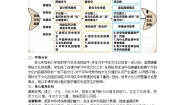 初中政治 (道德与法治)人教版（2024）九年级上册第三单元 文明与家园第五课 守望精神家园延续文化血脉教学设计
