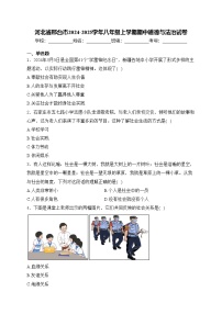 河北省邢台市2024-2025学年八年级上学期期中道德与法治试卷(含答案)