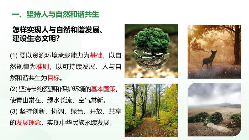 6.2共筑生命家园-课件 2024-2025学年统编版道德与法治九年级上册第6页
