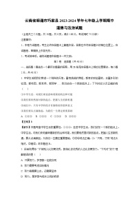 云南省昭通市巧家县2023-2024学年七年级上学期期中道德与法治道德与法治试卷（解析版）
