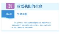 人教版(2024)七年级上册(2024)第三单元 珍爱我们的生命第八课 生命可贵认识生命教学ppt课件