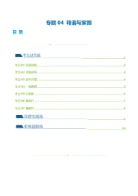 2025年中考道德与法治一轮复习考点练习专题04 和谐与梦想（练习）（解析版）