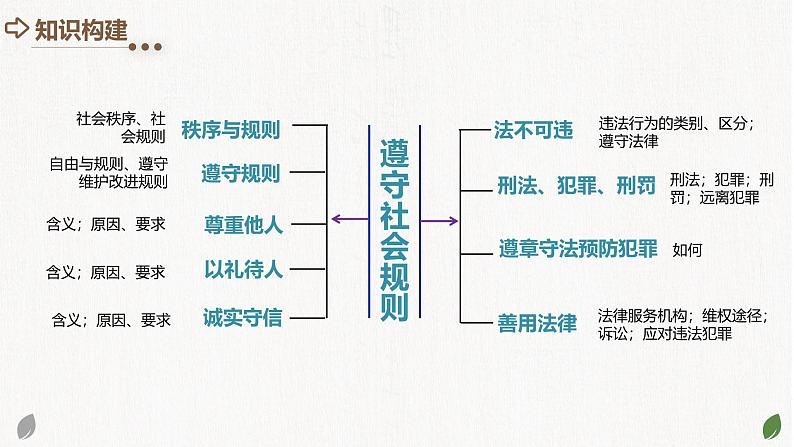 2025年中考道德与法治一轮复习考点讲练测课件专题09 遵守社会规则(含答案)05