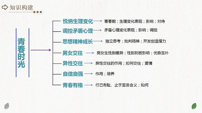 2025年中考道德与法治一轮复习考点讲练测课件专题20 青春时光(含答案)第4页