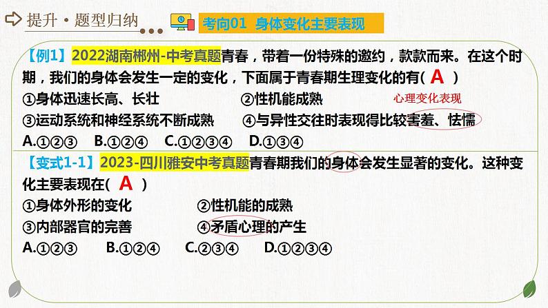 2025年中考道德与法治一轮复习考点讲练测课件专题20 青春时光(含答案)第6页