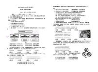 福建省南安市2024-2025学年八年级上学期11月期中道德与法治试题