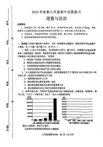 河南省南阳市南召县2024-2025学年九年级上学期11月期中道德与法治试题