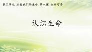 初中政治 (道德与法治)人教版（2024）七年级上册（2024）认识生命课文课件ppt