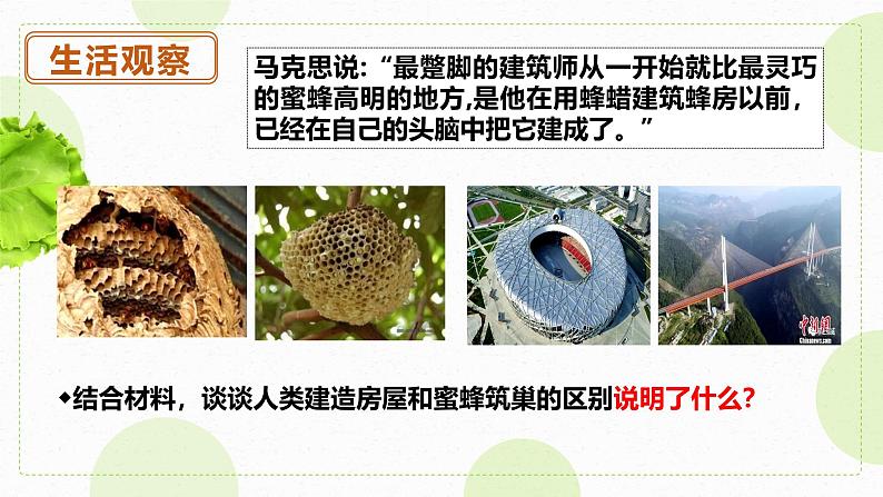 部编版七年级上册道德与法治第十一课《确立人生目标》第一框11.1探问认识目标 (教学课件)第3页