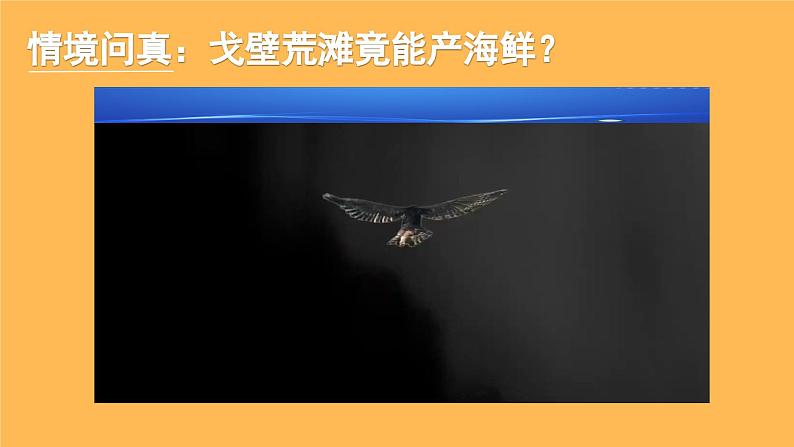 部编人教版初中道德与法治九年级上册9.6.2共筑生命家园(课件)第1页