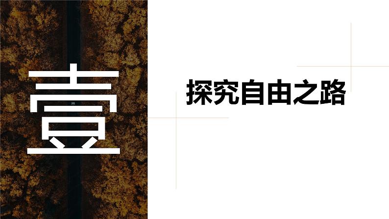 7.1自由平等的真谛课件-2023-2024学年统编版道德与法治八年级下册第4页
