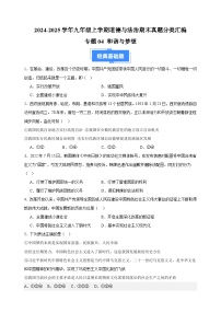 專題04 和諧與夢(mèng)想-2024-2025學(xué)年九年級(jí)上學(xué)期道德與法治期末真題分類匯編(統(tǒng)編版 全國(guó)通用)