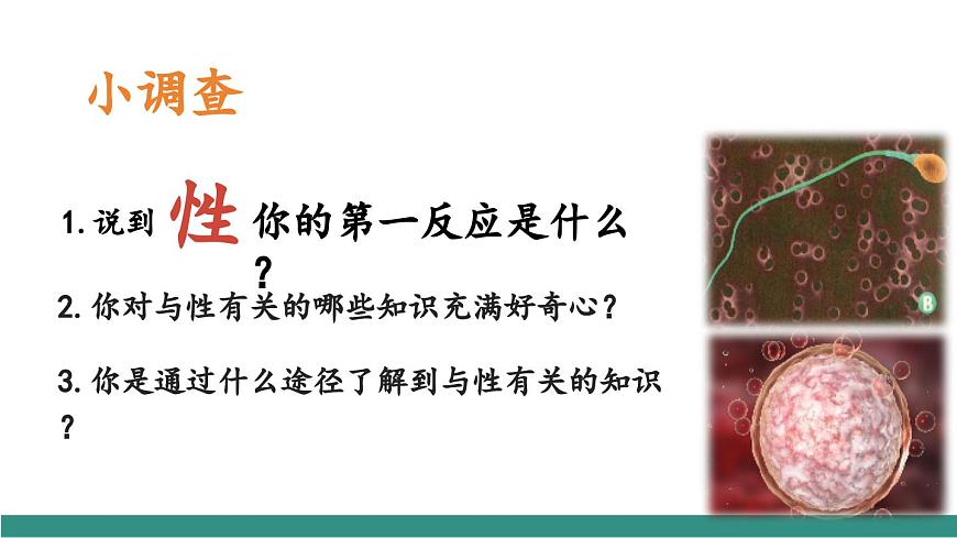 1.3學會自我保護（教學課件）第5頁