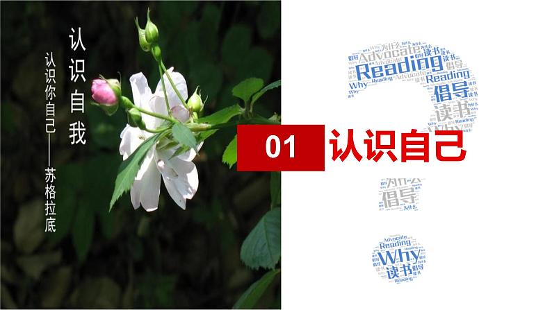 初中 政治 (道德与法治) 人教版(2024) 七年级上册(2024)认识自己 课件第3页