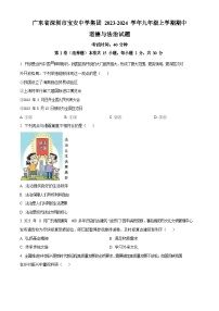 广东省深圳市宝安中学集团2023-2024学年九年级上学期期中道德与法治试题