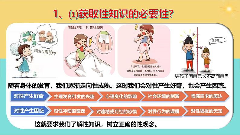 1.3 学会自我保护(课件)2024-2025学年七年级道德与法治下册统编版第6页