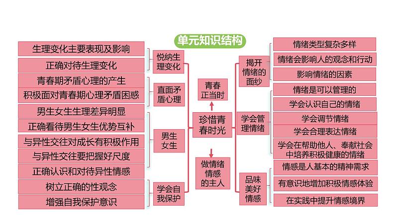 统编版道德与法治(2024)七年级下册 1.3 学会自我保护(课件)第3页