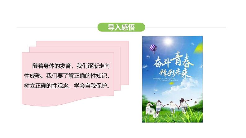 统编版道德与法治(2024)七年级下册 1.3 学会自我保护(课件)第7页