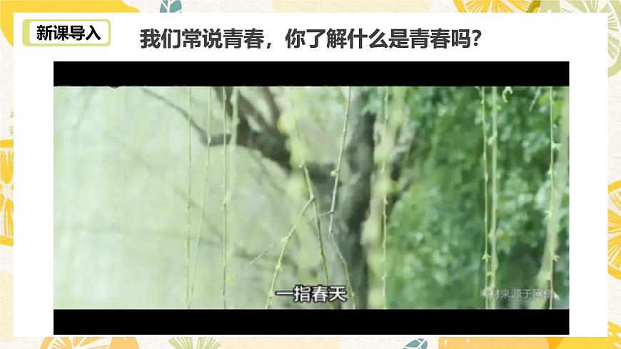1.1青春的邀約-課件第4頁
