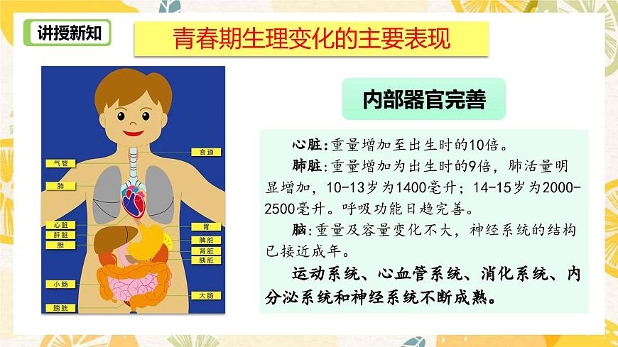 1.1青春的邀約-課件第8頁