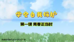 1-3《学会自我保护》（课件）道德与法治七年级下册统编版（2024）