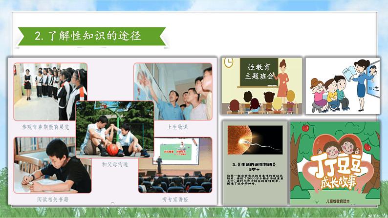 1-3《学会自我保护》(课件)道德与法治七年级下册统编版(2024)第6页