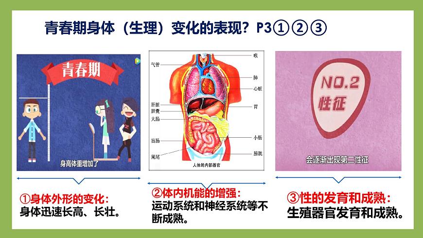 1.1《青春的邀約》2025年春新版教材七年級下冊道德與法治課件第8頁