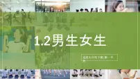 政治 (道德与法治)七年级下册（2024）第一单元 珍惜青春时光第一课 青春正当时男生女生公开课课件ppt