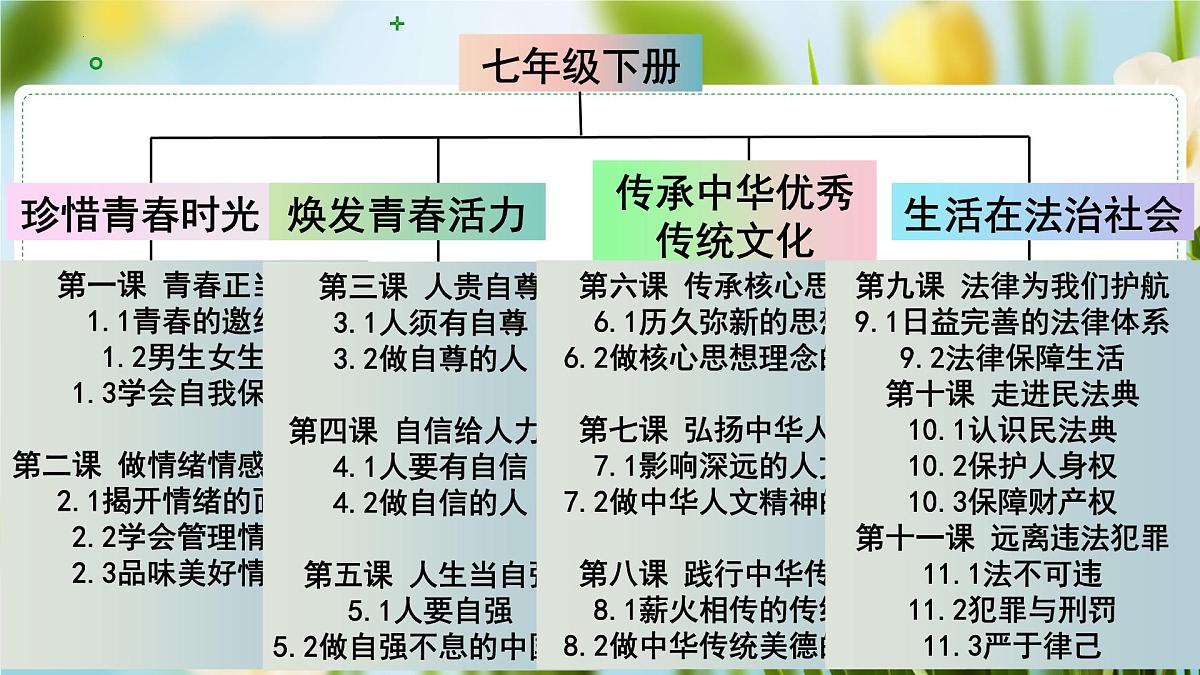 1.1青春的邀约 (课件)-2024-2025学年道德与法治七年级下册 (统编版2024)第2页