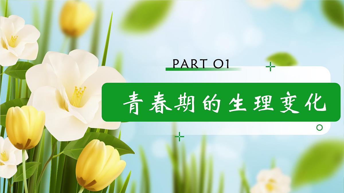 1.1青春的邀约 (课件)-2024-2025学年道德与法治七年级下册 (统编版2024)第6页