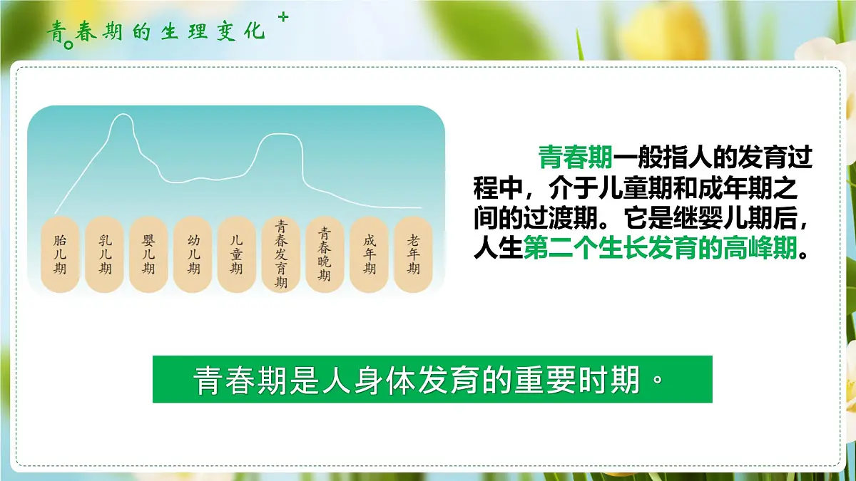 1.1青春的邀约(课 件)-2024-2025学年道德与法治七年级下册 (统编版2024)课件PPT第6页