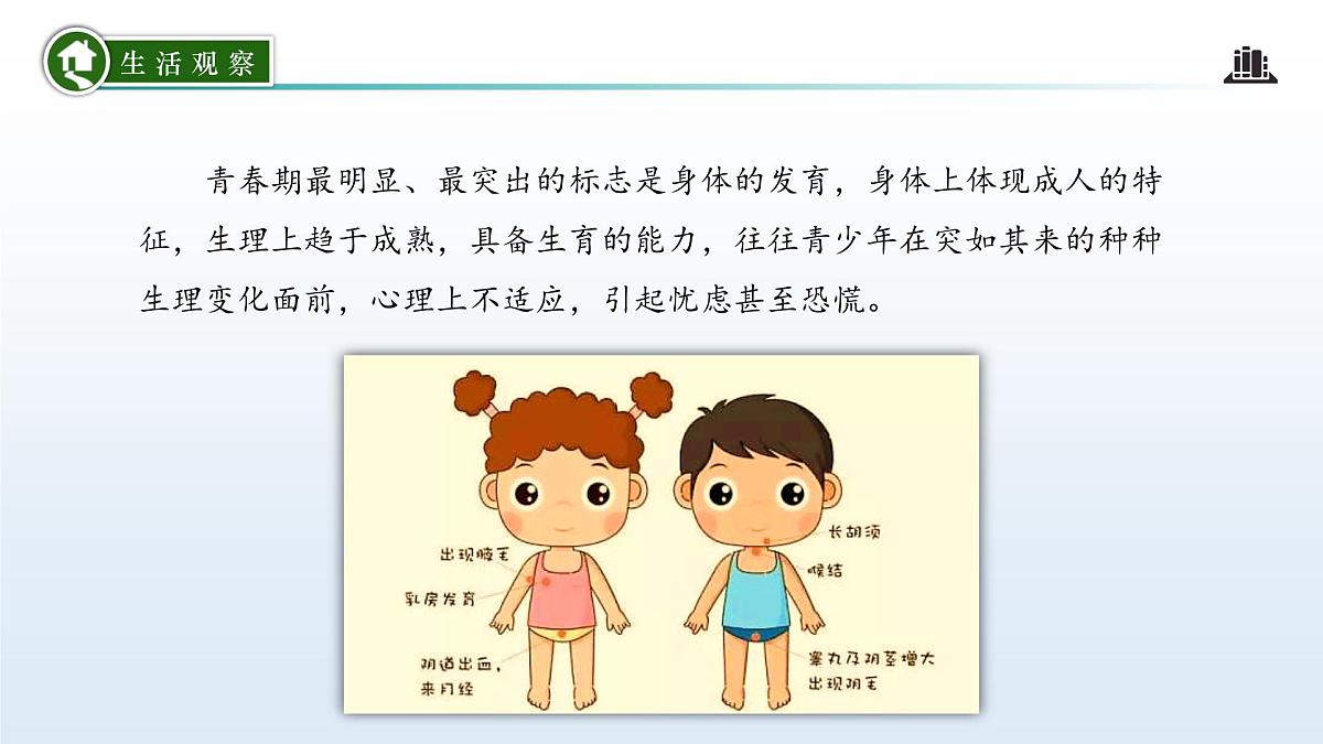 1.3 学会自我保护(课 件)-2024-2025学年道德与法治七年级下册 (统编版2024)课件PPT第6页
