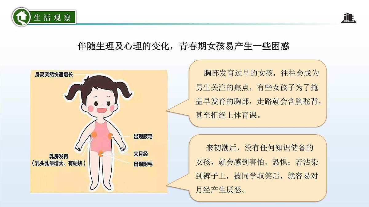 1.3 学会自我保护(课 件)-2024-2025学年道德与法治七年级下册 (统编版2024)课件PPT第7页