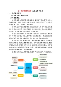 初中政治 (道德与法治)人教版（2024）七年级下册（2024）揭开情绪的面纱优质课教案