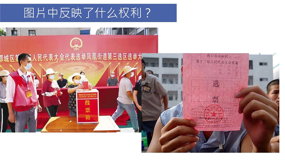 3.1公民基本权利 课件 -2024-2025学年统编版道德与法治八年级下册第5页
