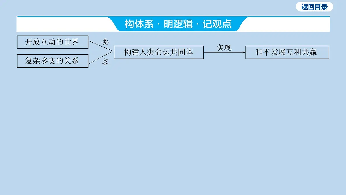 09-九年级下册-第一单元 我们共同的世界课件-2025年中考道德与法治一轮复习第4页