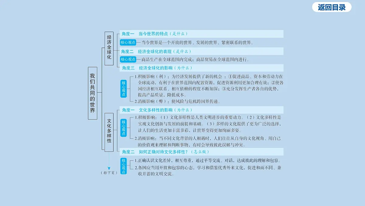 09-九年级下册-第一单元 我们共同的世界课件-2025年中考道德与法治一轮复习第5页