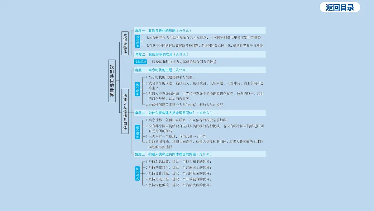 09-九年级下册-第一单元 我们共同的世界课件-2025年中考道德与法治一轮复习第6页