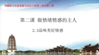 人教版(2024)七年级下册(2024)品味美好情感教学ppt课件