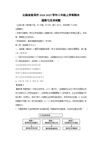 2024~2025学年云南省普洱市八年级上学期期末道德与法治试卷（解析版）