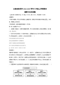 2024~2025学年云南省普洱市八年级上学期期末道德与法治试卷(解析版)